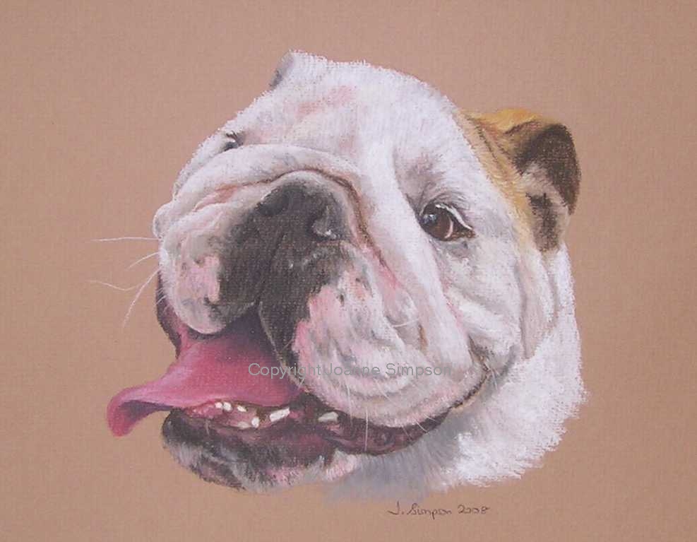 British Bulldog pet portrait by Joanne Simpson.